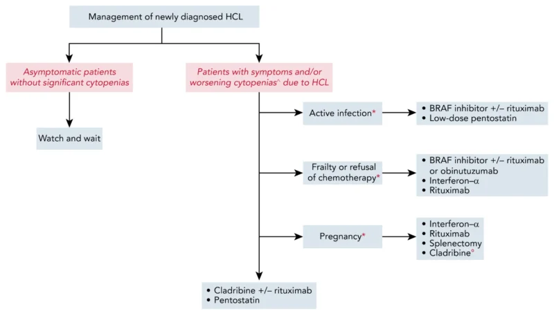 Hairy Cell Leukemia (HCL): A Rare Leukemia Treated Well, but Rarely Eradicated