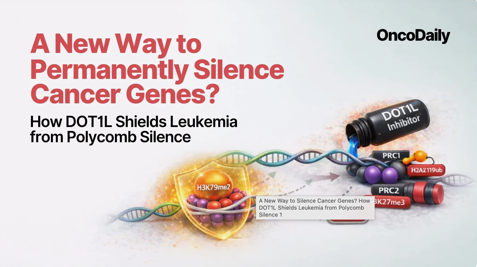 A New Way to Silence Cancer Genes? How DOT1L Shields Leukemia from Polycomb Silence