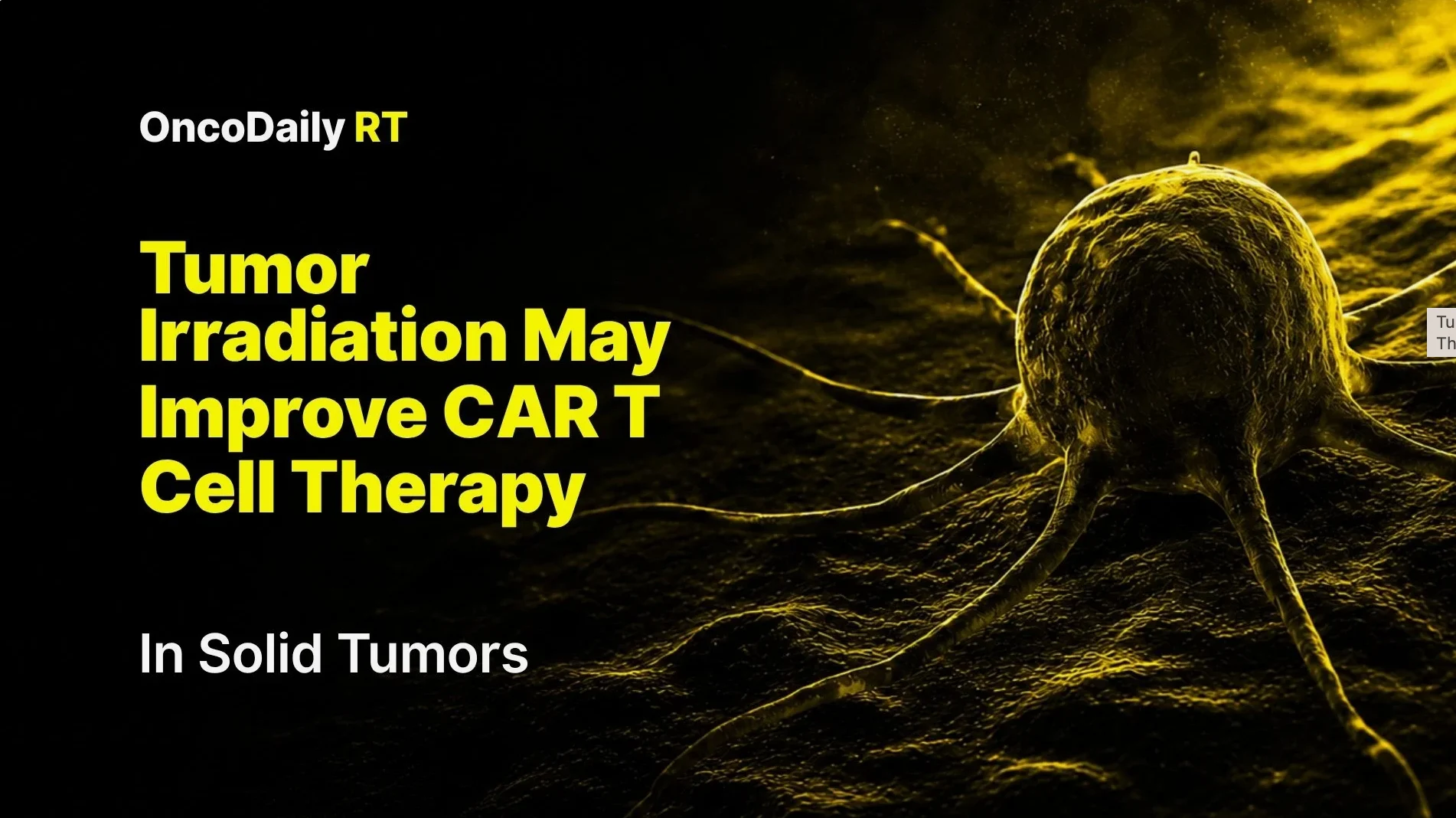 What Happens If CAR T-Cell Therapy Fails? Relapse, Refractory Disease, and Next Treatment Options 4 What Happens If CAR T-Cell Therapy Fails? Relapse, Refractory Disease, and Next Treatment Options