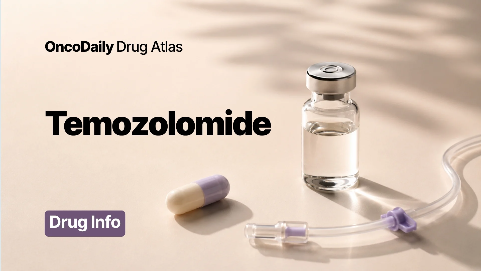 Temozolomide: A Key Chemotherapy for Glioblastoma and Astrocytoma