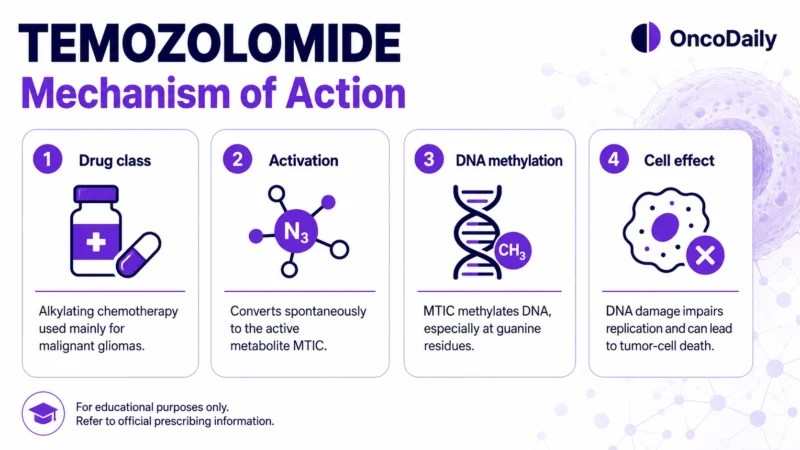 Temozolomide: A Key Chemotherapy for Glioblastoma and Astrocytoma 17 Temozolomide
