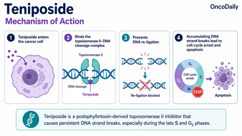Teniposide: Mechanism of Action, Dose, Administration, Clinical Uses, and Side Effects 17 Teniposide