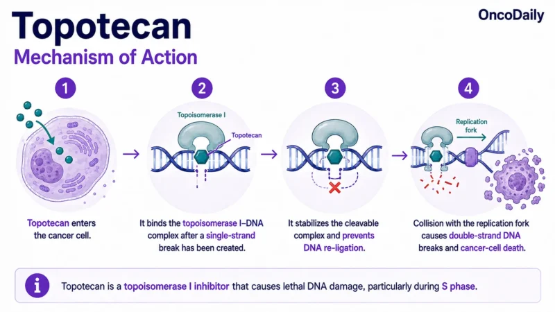 Topotecan