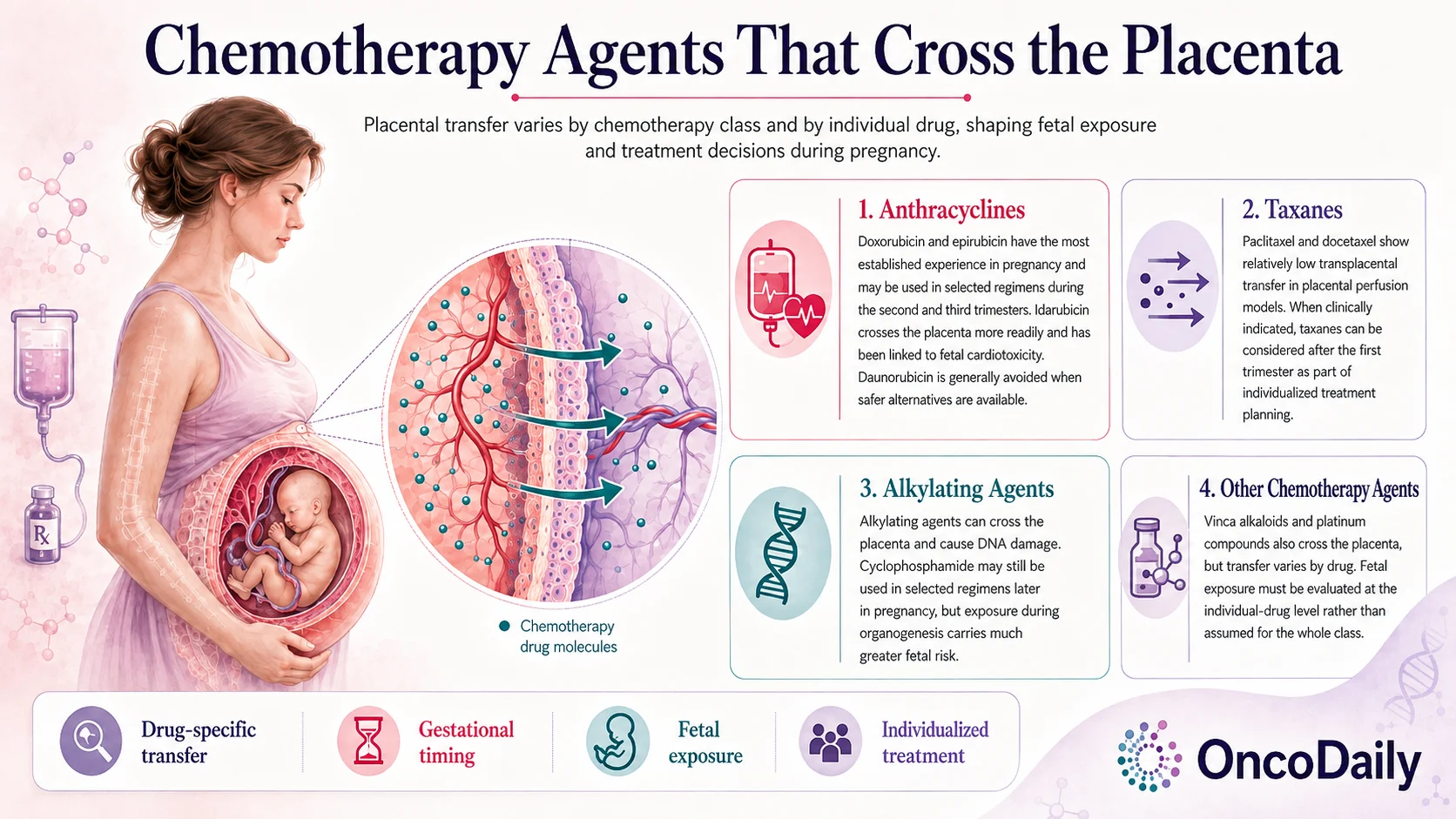 Beyond the Placental Barrier: Chemotherapy During Pregnancy 5 Placenta