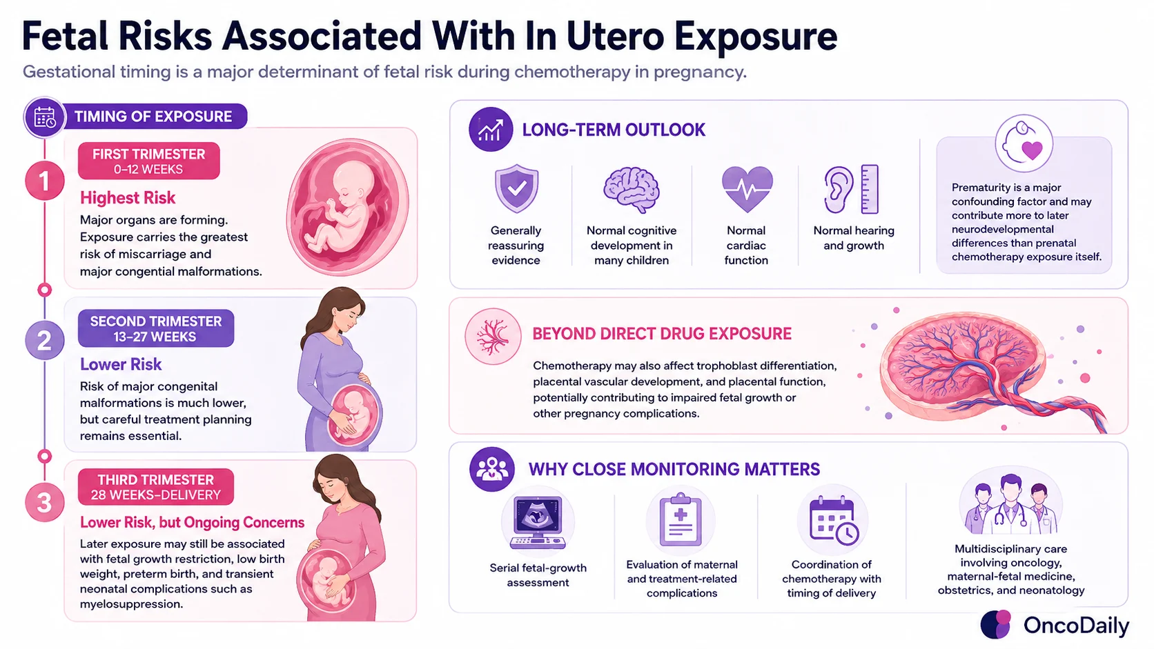 Beyond the Placental Barrier: Chemotherapy During Pregnancy 6 Placenta