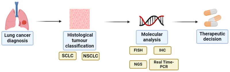 Targeted Therapy