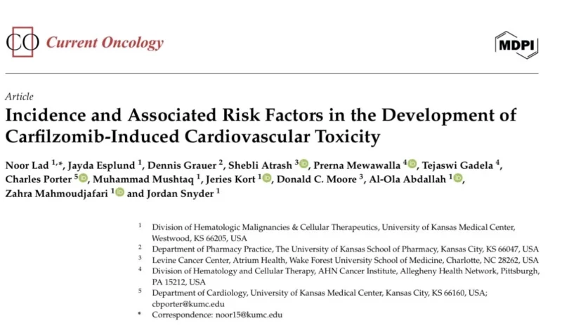 Al-Ola A. Abdallah Shares Insights on Multiple Myeloma Care 2 Al-Ola A. Abdallah Shares Insights on Multiple Myeloma Care