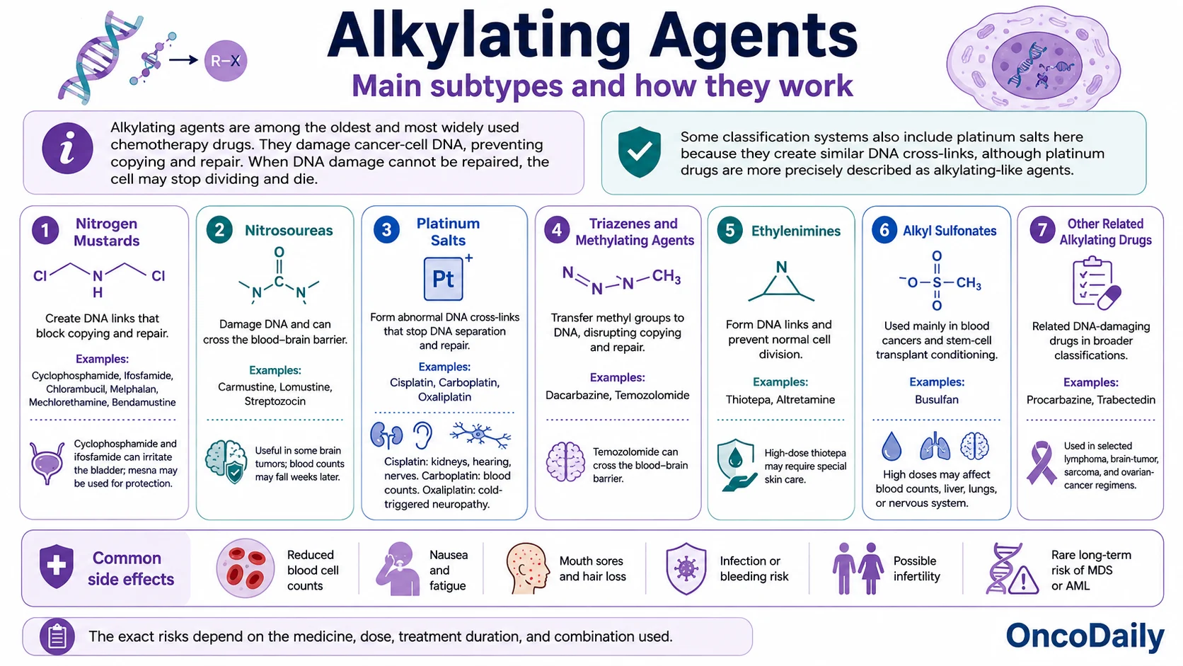 The Main Types of Chemotherapy Drugs and How They Work
