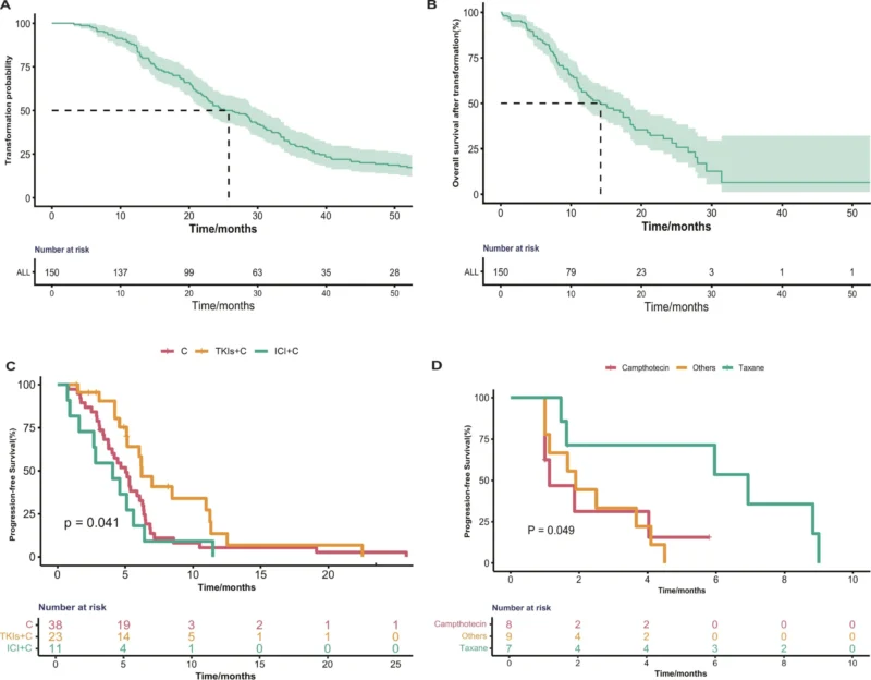 Transformed SCLC in EGFR-Mutant NSCLC: Critical Progress in a High-Risk Setting 3 Transformed SCLC