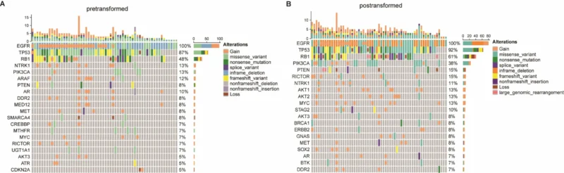 Transformed SCLC in EGFR-Mutant NSCLC: Critical Progress in a High-Risk Setting 4 Transformed SCLC