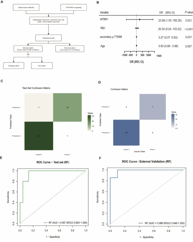 Transformed SCLC in EGFR-Mutant NSCLC: Critical Progress in a High-Risk Setting 5 Transformed SCLC