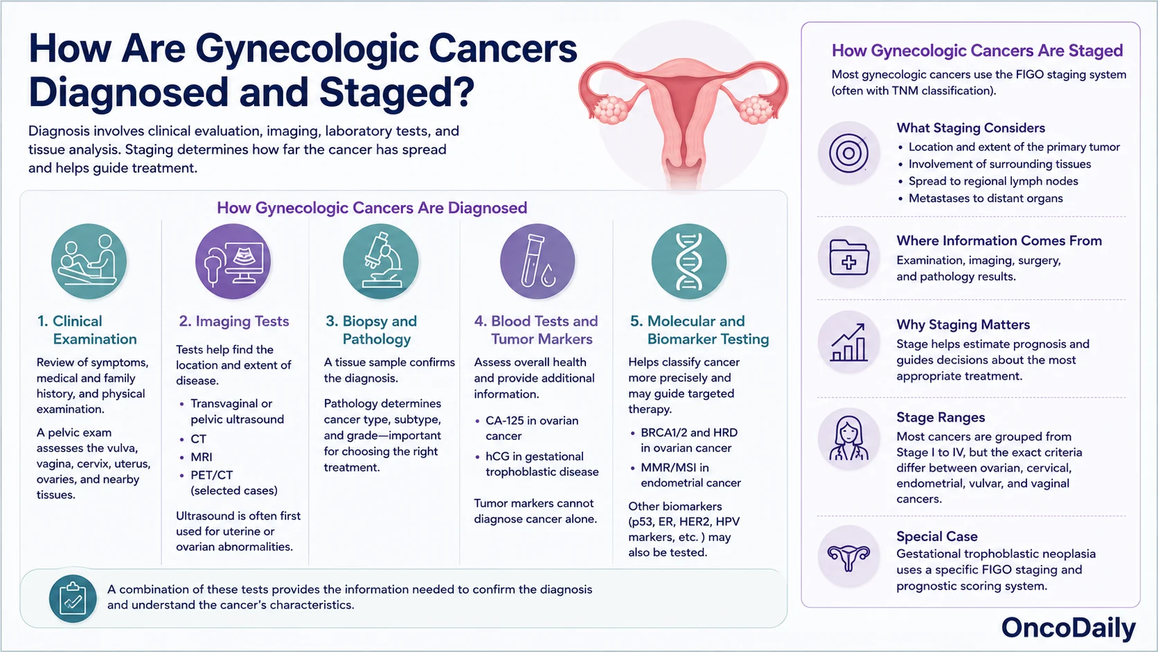 Gynecologic Oncology: Types of Cancer, Diagnosis, Treatment, and Prevention