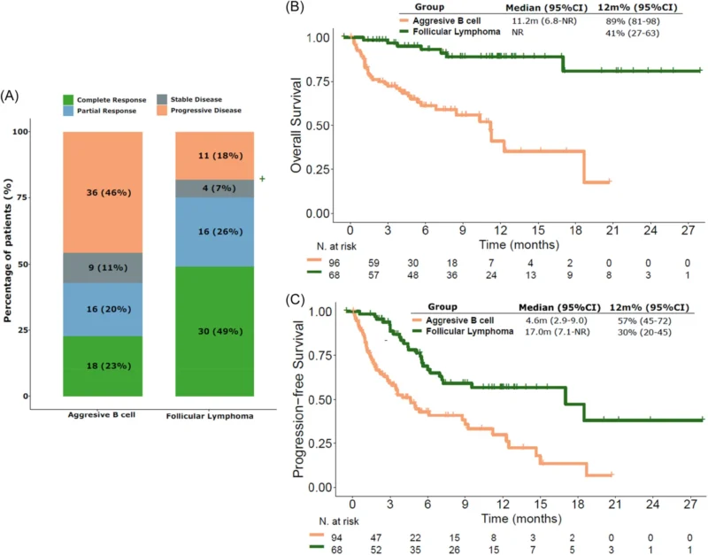 CD20 × CD3 Bispecific Antibodies in B-Cell Lymphoma: Real-World Safety, Efficacy, and Healthcare Use in Spain 2 CD20 × CD3 Bispecific Antibodies in B-Cell Lymphoma: Real-World Safety, Efficacy, and Healthcare Use in Spain