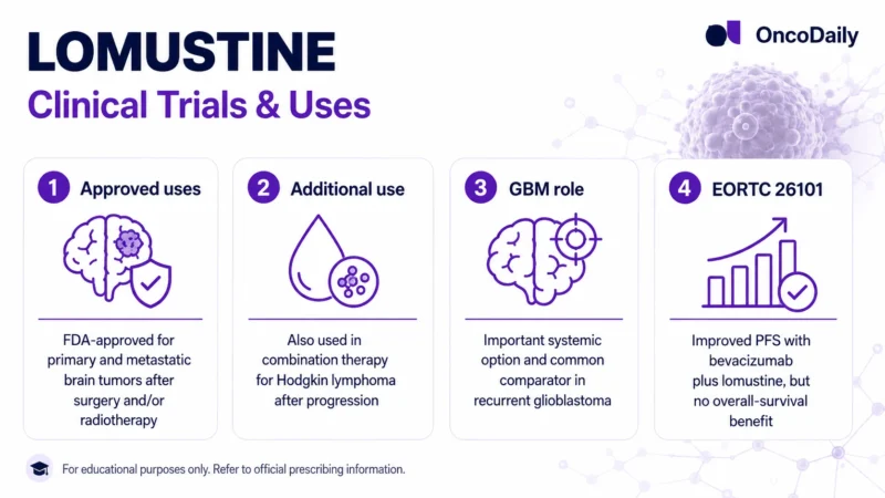 Lomustine: A Key Oral Chemotherapy for Brain Tumors and Glioblastoma 12 lomustine