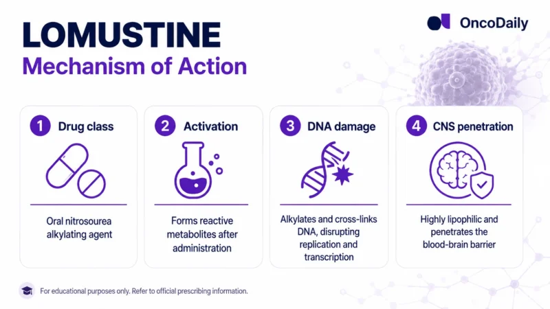 Lomustine: A Key Oral Chemotherapy for Brain Tumors and Glioblastoma 9 lomustine
