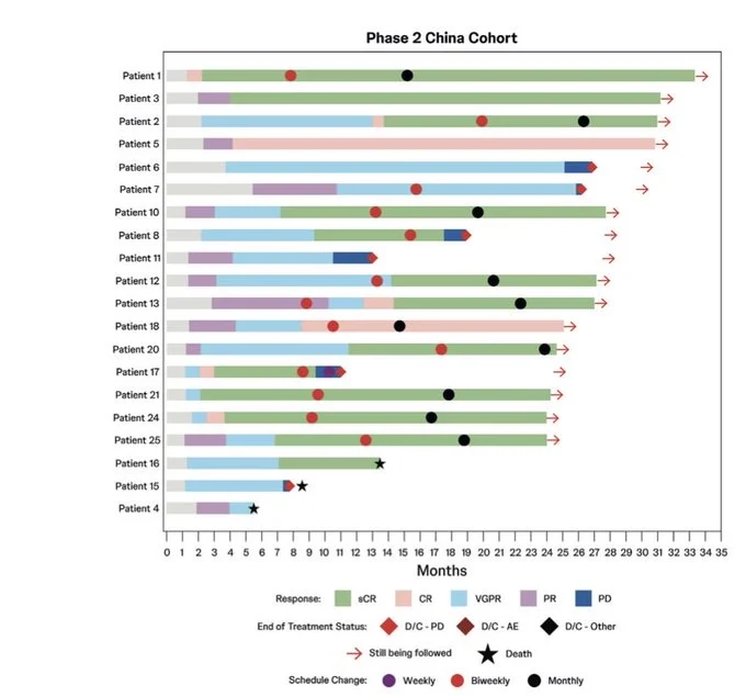 Al-Ola Abdallah Reviews Long-Term Teclistamab Outcomes in Multiple Myeloma 3 Al-Ola Abdallah Reviews Long-Term Teclistamab Outcomes in Multiple Myeloma