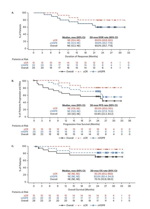 Al-Ola Abdallah Reviews Long-Term Teclistamab Outcomes in Multiple Myeloma 4 Al-Ola Abdallah Reviews Long-Term Teclistamab Outcomes in Multiple Myeloma