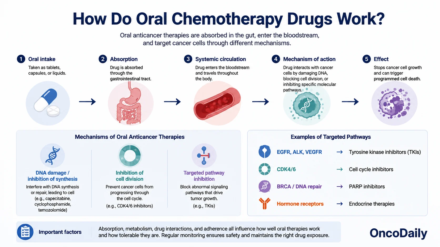 Oral Chemotherapy Drugs: Types, Uses, Side Effects, and How They Work