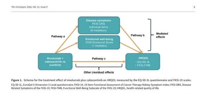 Galip Can Uyar: Understanding What Drives HRQoL With Nivolumab Plus Cabozantinib
