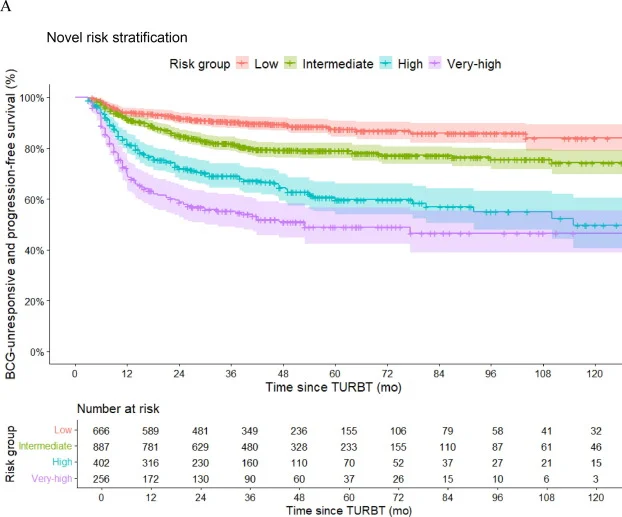 Enrique Grande: New Risk Model Predicts BCG-Unresponsive Disease in High-Risk NMIBC 2 Enrique Grande: New Risk Model Predicts BCG-Unresponsive Disease in High-Risk NMIBC