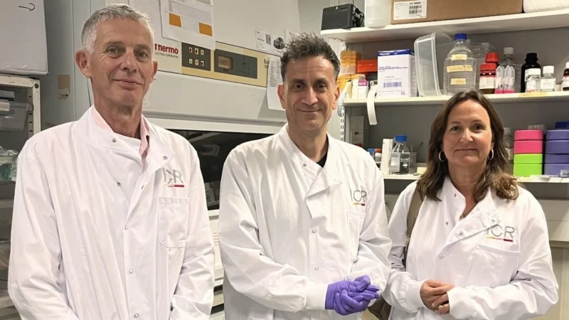 A Legacy of Hope for Young People With Brain Tumours – The Institute of Cancer Research