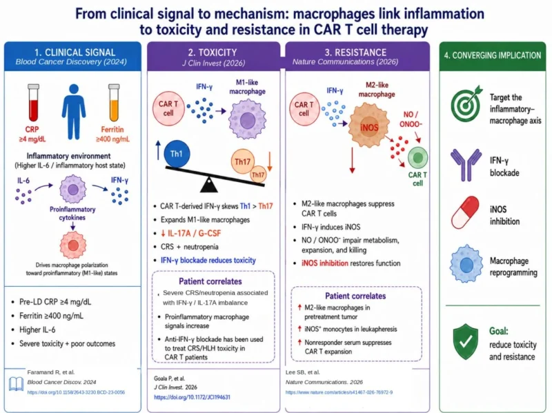 Marco Davila: What if CRP and ferritin are More Than CAR T Risk Markers 2 Marco Davila