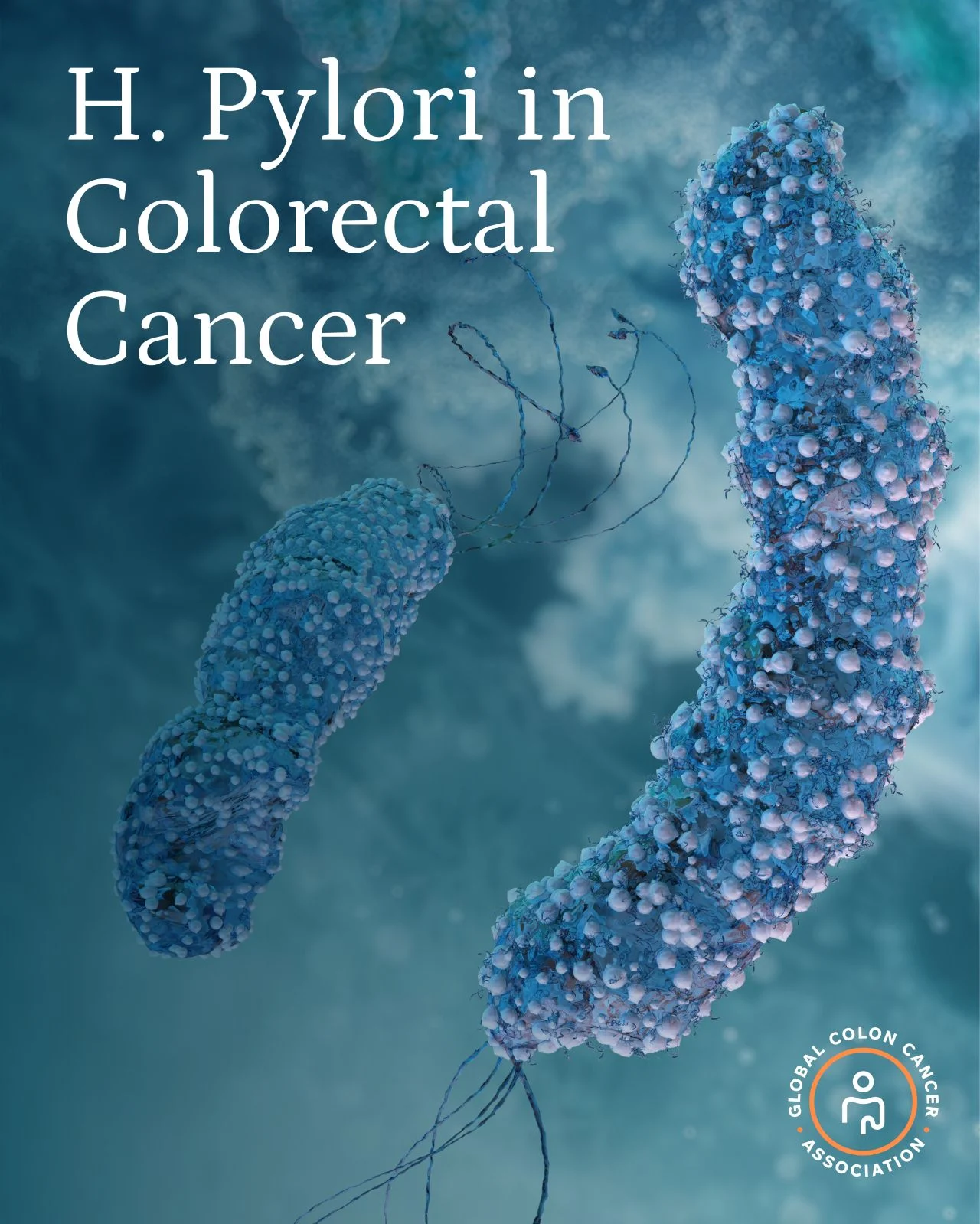 Nicole Sheahan: The Role of Helicobacter Pylori in Colorectal Cancer 2 Nicole Sheahan