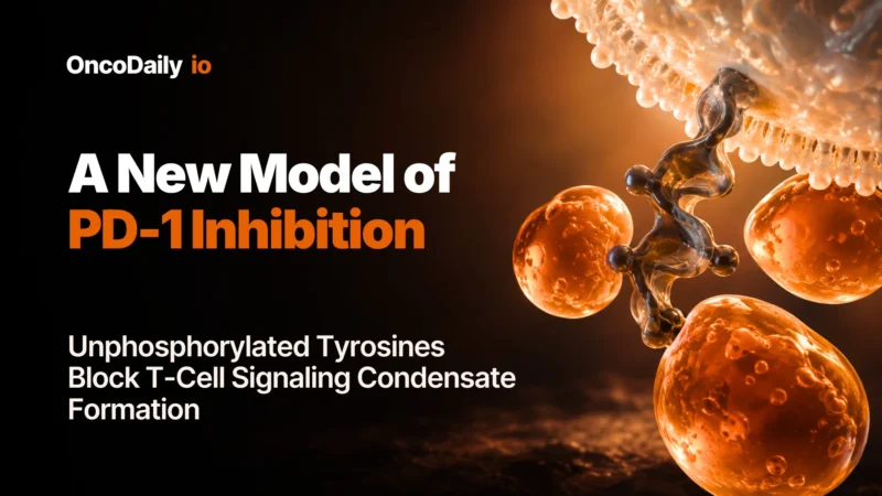 A New Model of PD-1 Inhibition: Unphosphorylated Tyrosines Block T-Cell Signaling Condensate Formation