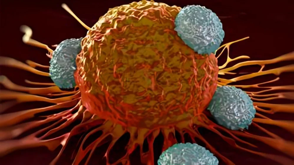 The Big Questions in Cancer Immunotherapy: Can We Build an Immune System Inside the Tumor? 2 Immune System