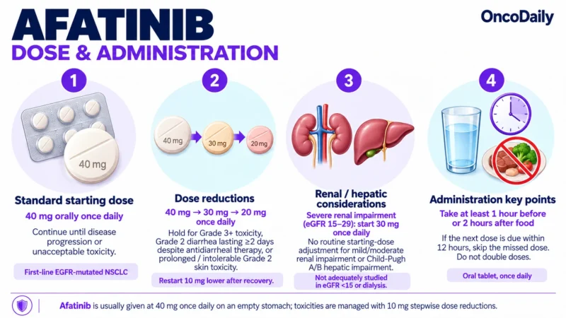 Afatinib (Gilotrif): Understanding Its Mechanism, Dosing, and Clinical Role in EGFR-Mutated Lung Cancer 10 Afatinib OncoDaily