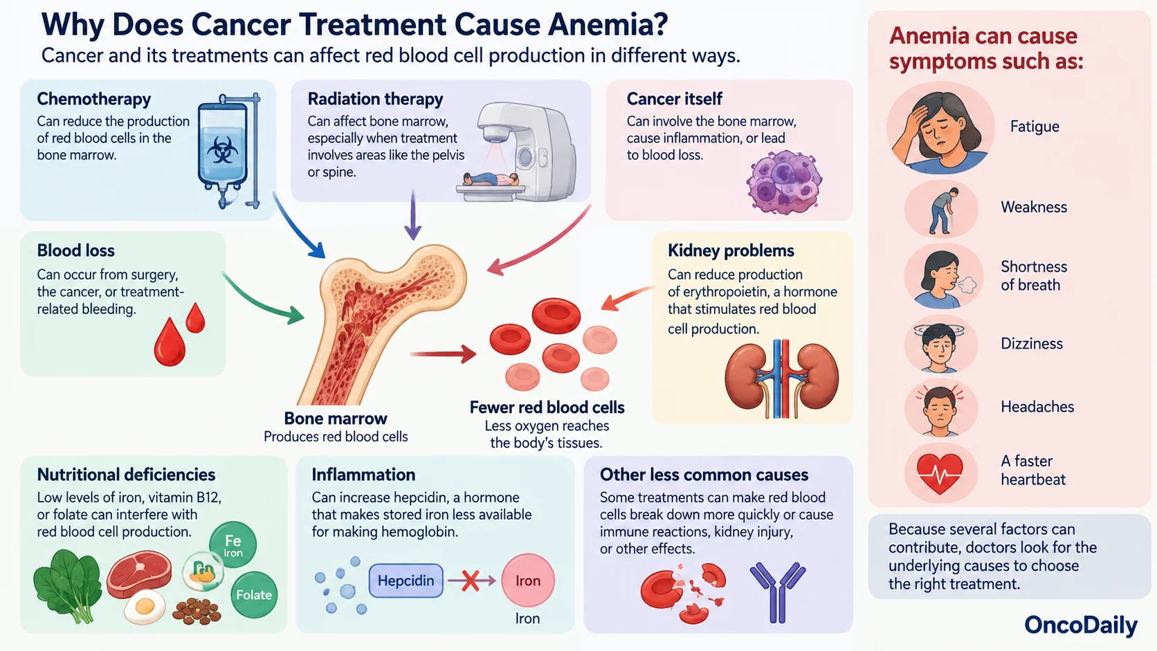 Anemia During Cancer Treatment: Causes, Symptoms, and What Patients Should Know 3 Anemia During Cancer Treatment: Causes, Symptoms, and What Patients Should Know