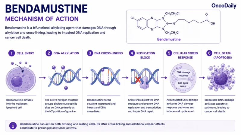 Bendamustine
