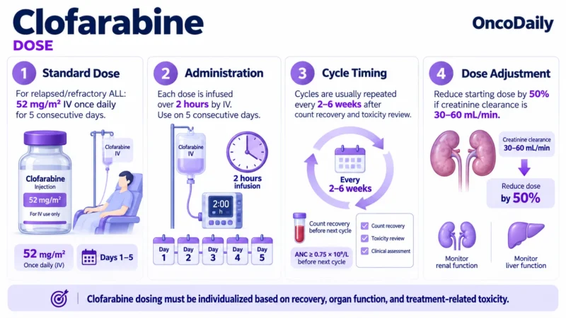 Clofarabine: Understanding Its Mechanism, Dosing, and Clinical Role in Leukemia 10 Clofarabine OncoDaily