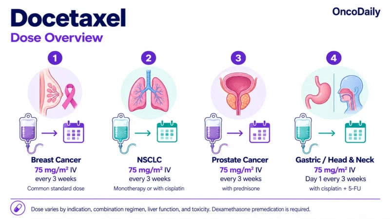 Docetaxel: Understanding Its Mechanism, Dosing, and Clinical Role in Cancer 10 Docetaxel OncoDaily