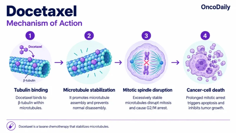 Docetaxel: Understanding Its Mechanism, Dosing, and Clinical Role in Cancer 9 Docetaxel OncoDaily