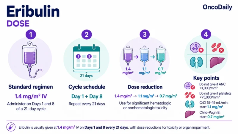 Eribulin: Understanding Its Mechanism, Dosing, and Clinical Role in Cancer 10 Eribulin OncoDaily