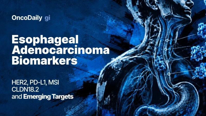 Esophageal Adenocarcinoma Biomarkers: HER2, PD-L1, MSI, CLDN18.2 and Emerging Targets