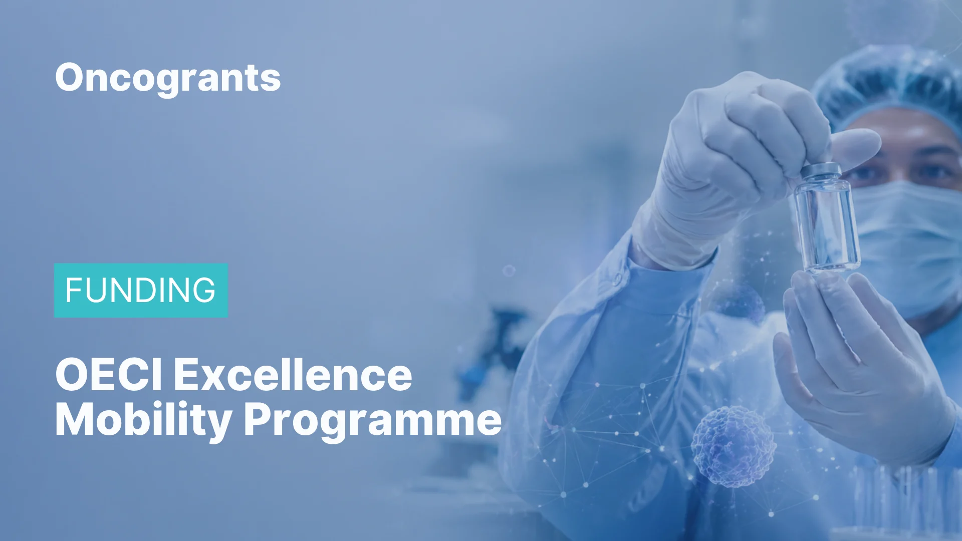Excellence Mobility Programme
