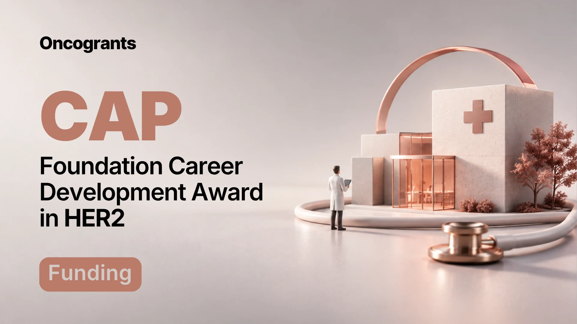 Career Development Award in HER2