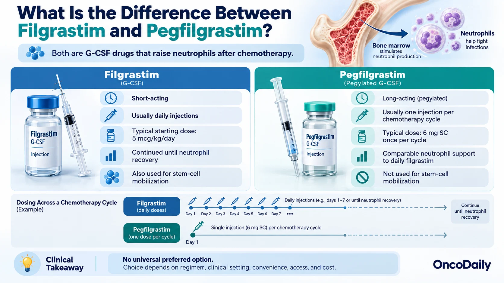 Filgrastim and Pegfilgrastim After Chemotherapy: Why Cancer Patients Need Growth Factor Injections