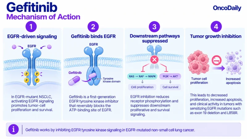 Gefitinib OncoDaily