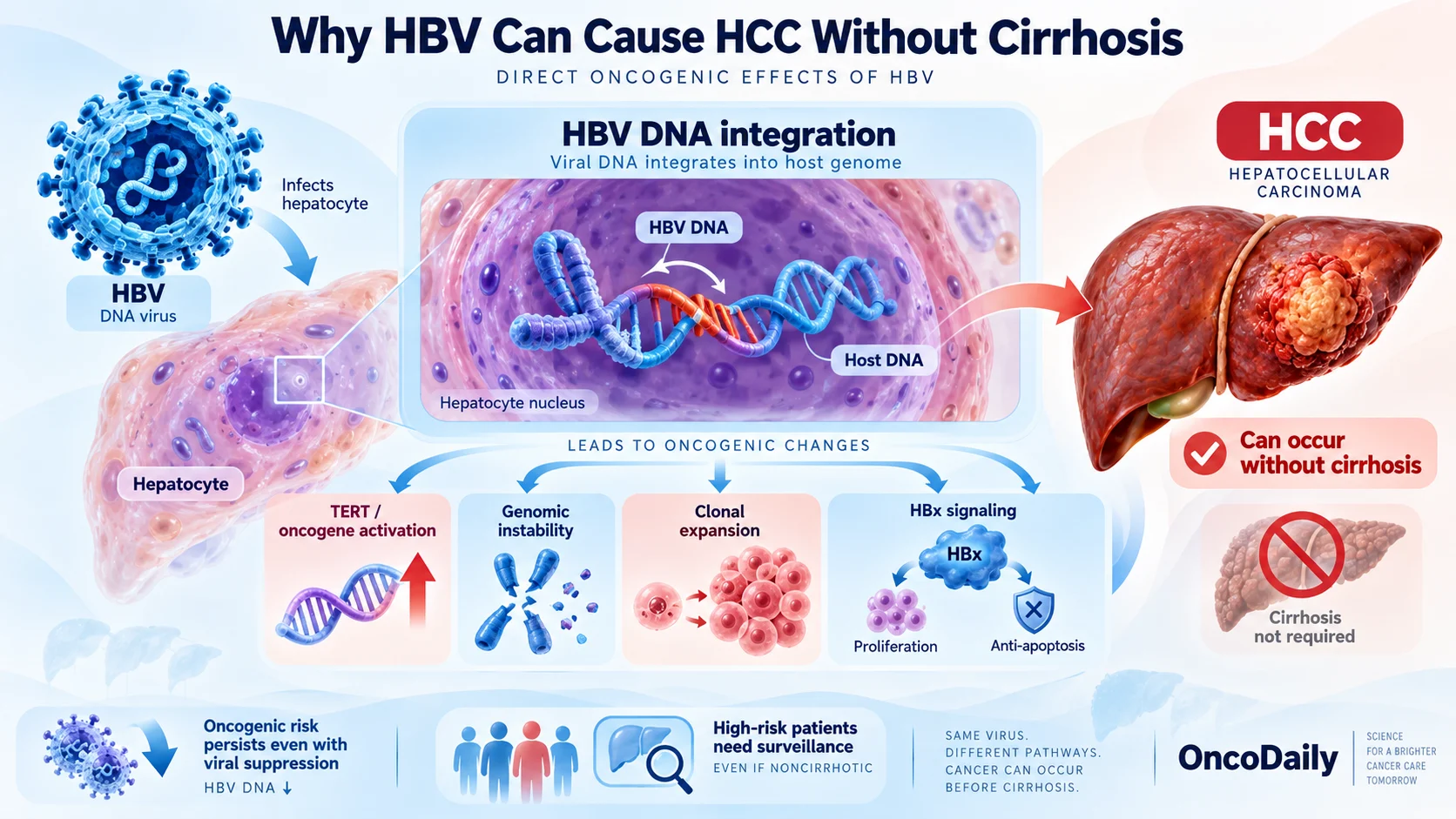 Hepatocellular Carcinoma and Viral Hepatitis: How HBV and HCV Drive Liver Cancer