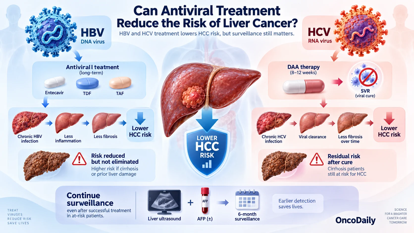 Hepatocellular Carcinoma and Viral Hepatitis: How HBV and HCV Drive Liver Cancer