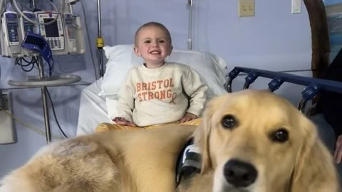 The Jimmy Fund