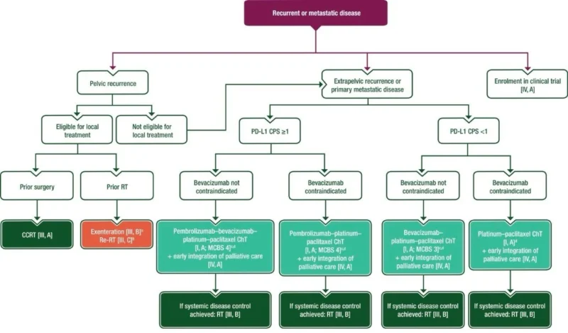 Rishabh Jain: ESMO 2026 Updates Cervical Cancer Treatment Recommendations 2 Rishabh Jain: ESMO 2026 Updates Cervical Cancer Treatment Recommendations