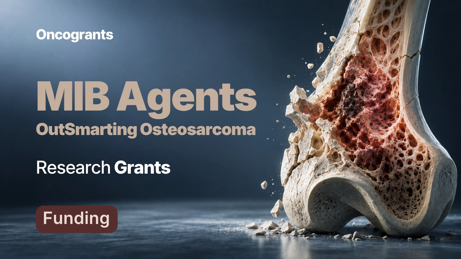 Osteosarcoma Research Grant