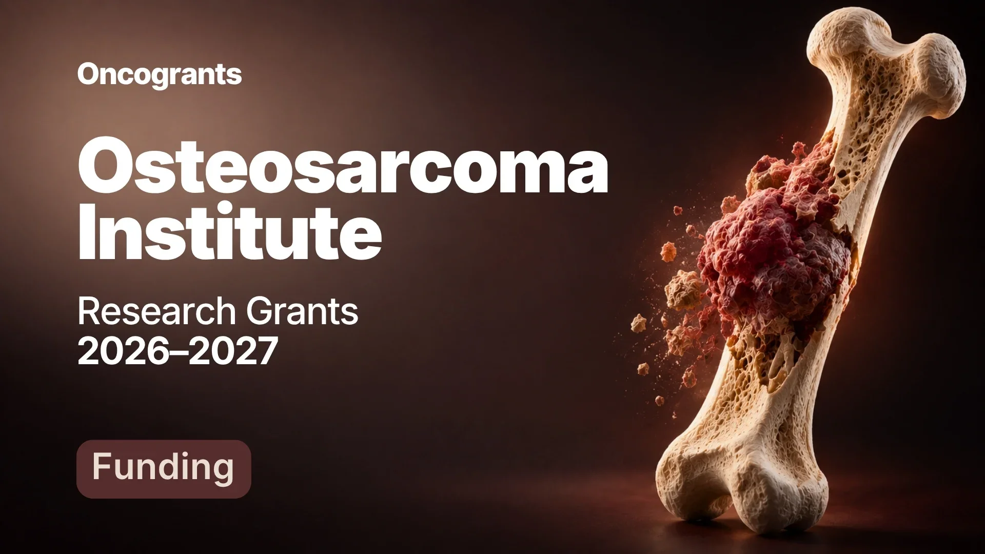Collagen-Targeted IL-12 Plus Doxorubicin in Osteosarcoma
