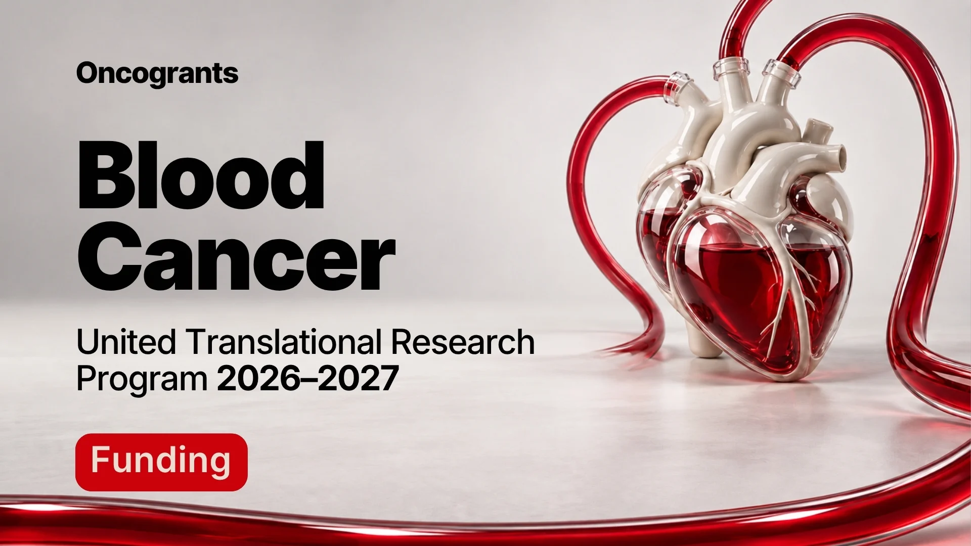 Translational Research Program