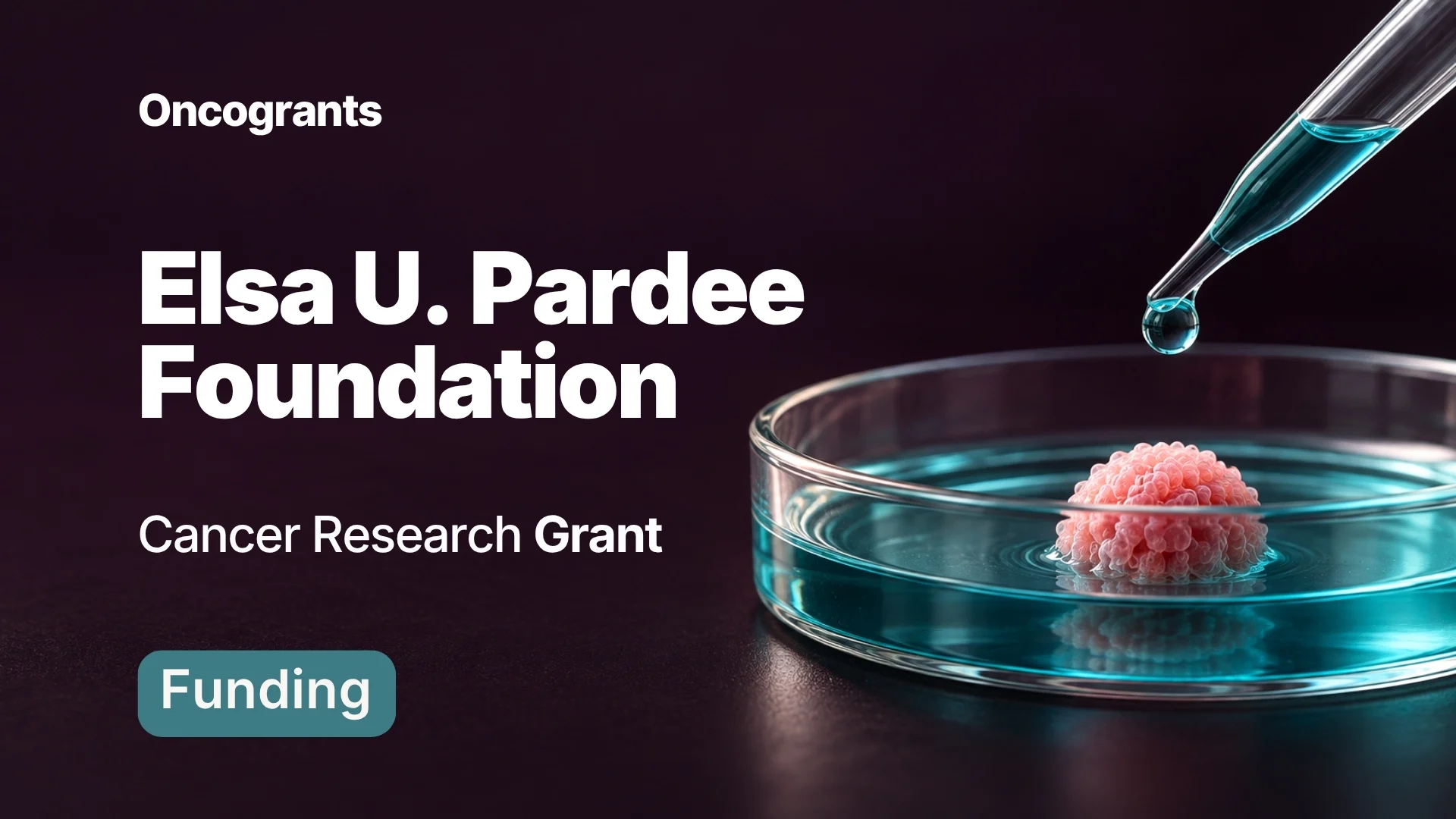 Cancer Research Grant