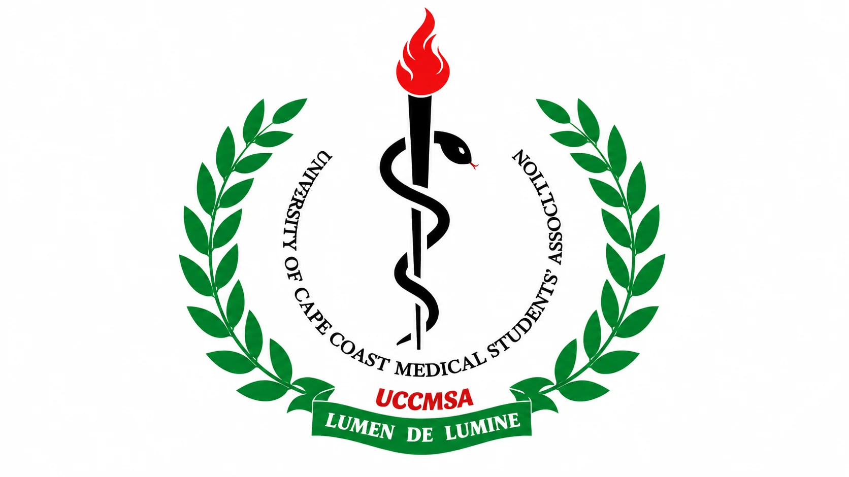 UCC-MSA